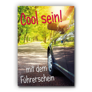Poster "Cool sein! Mit dem Führerschein"